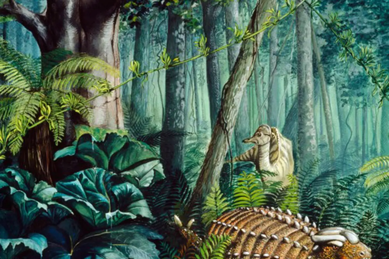 Ankylosaurus, ilustrační obrázek