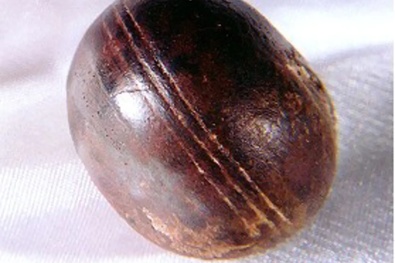 Klerksdorpská koule o průměru 3 až 4 centimetry a tloušťce 2,5 centimetru.