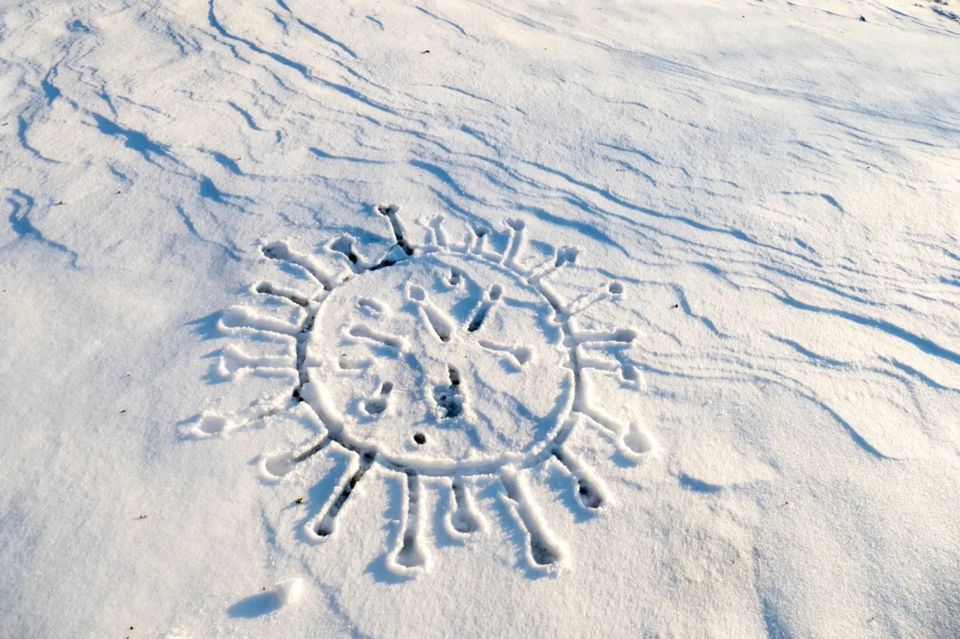 Virus by se mohl skrývat v ledu