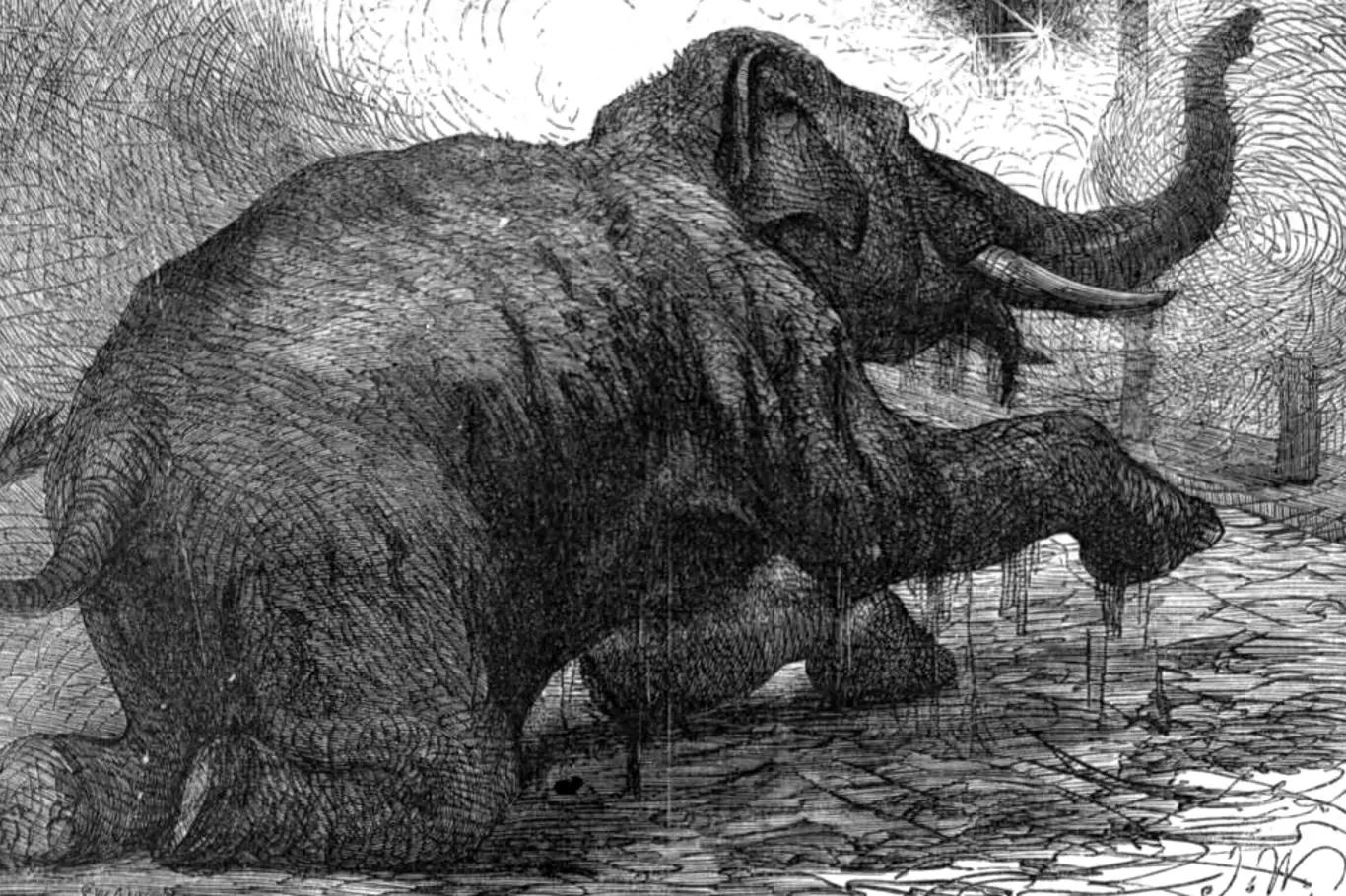 Sloni byli používáni jako zbraň k rozdrcení