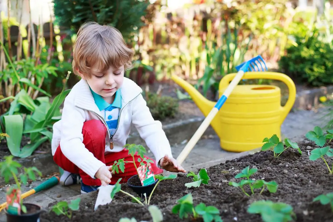 Zahradničení s dětmi