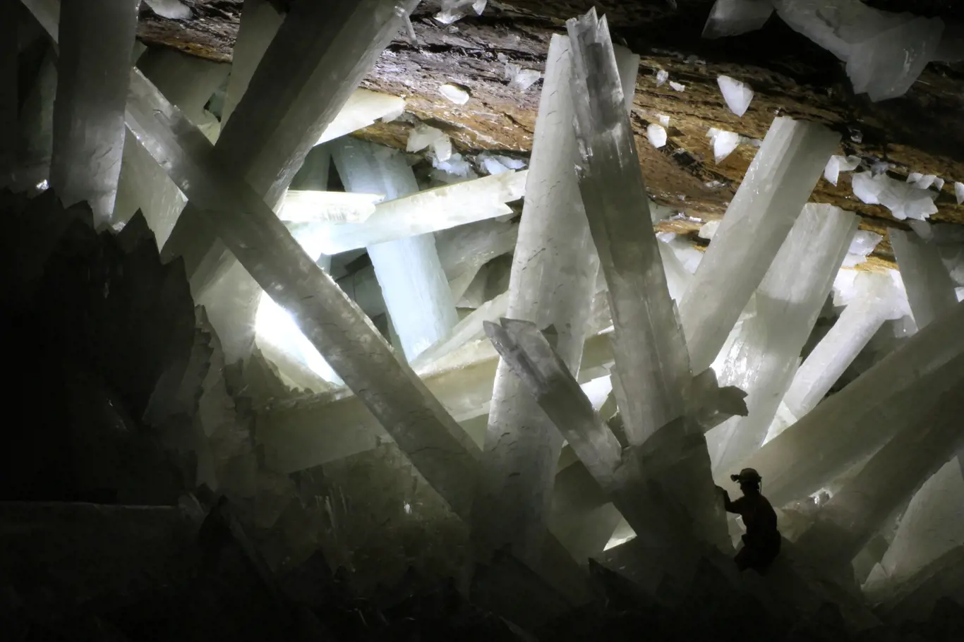Krystaly sádrovce v jeskyni Naica. Všimněte si osoby pro měřítko velikosti krystalů.