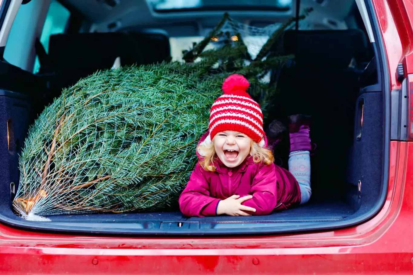 Vánoční stromek dítě auto