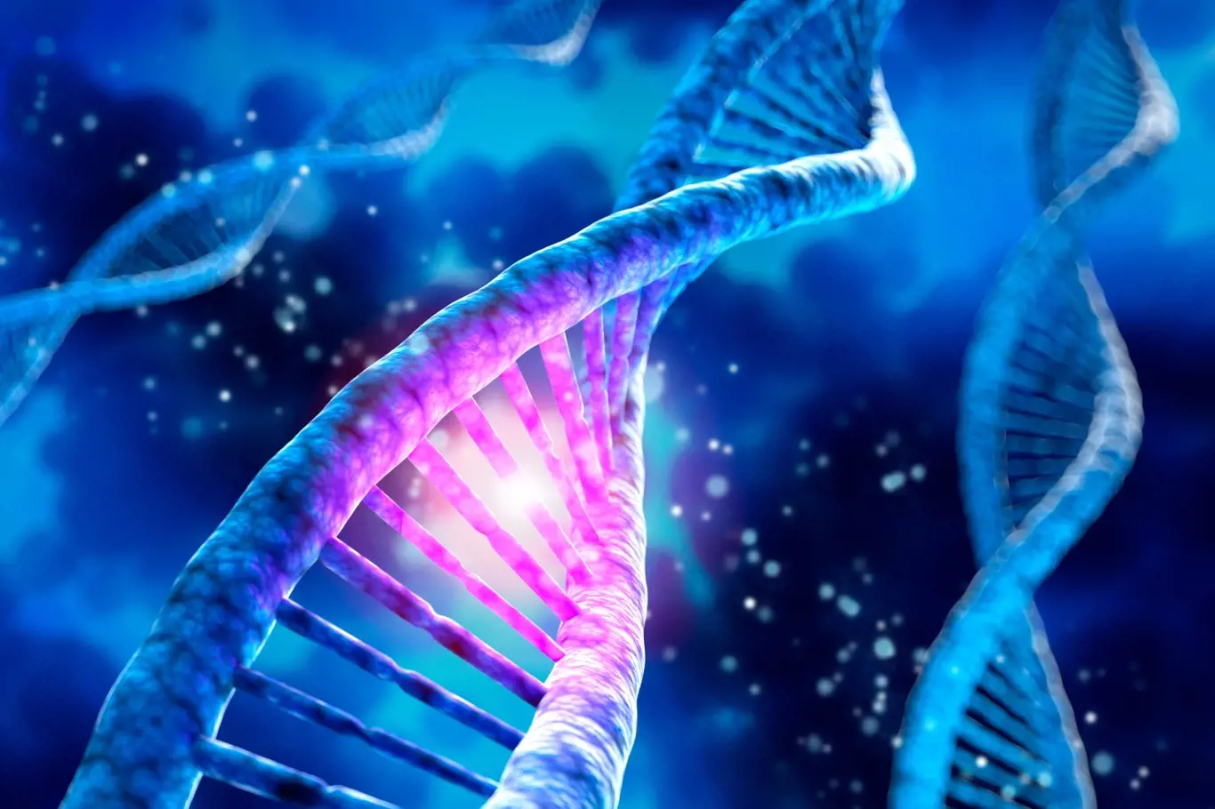 DNA nese naší genetickou informaci