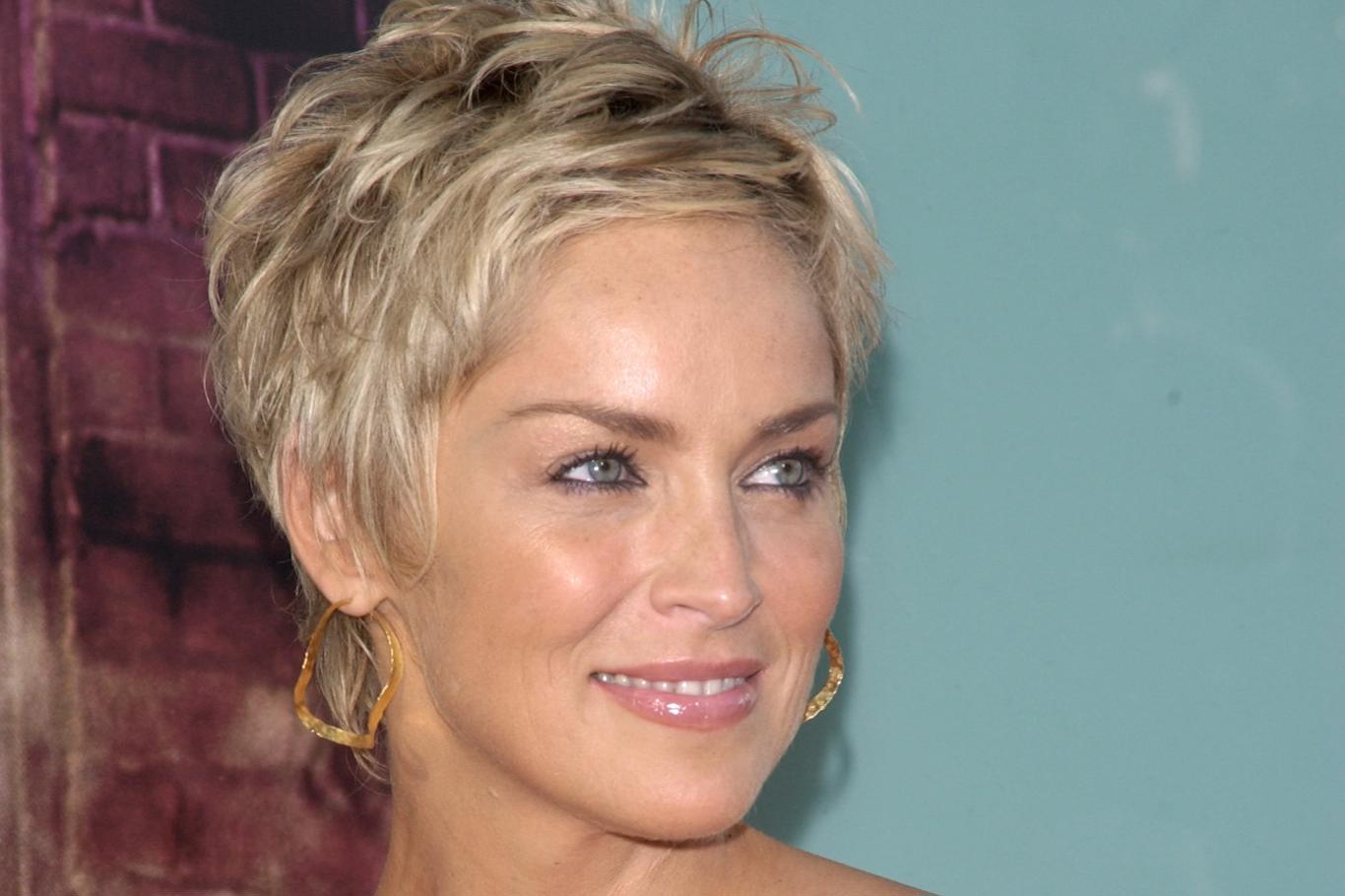 Basic Instinct star Sharon Stone suffered a massive stroke.  She fought for 7 years.  You won’t understand what he looks like