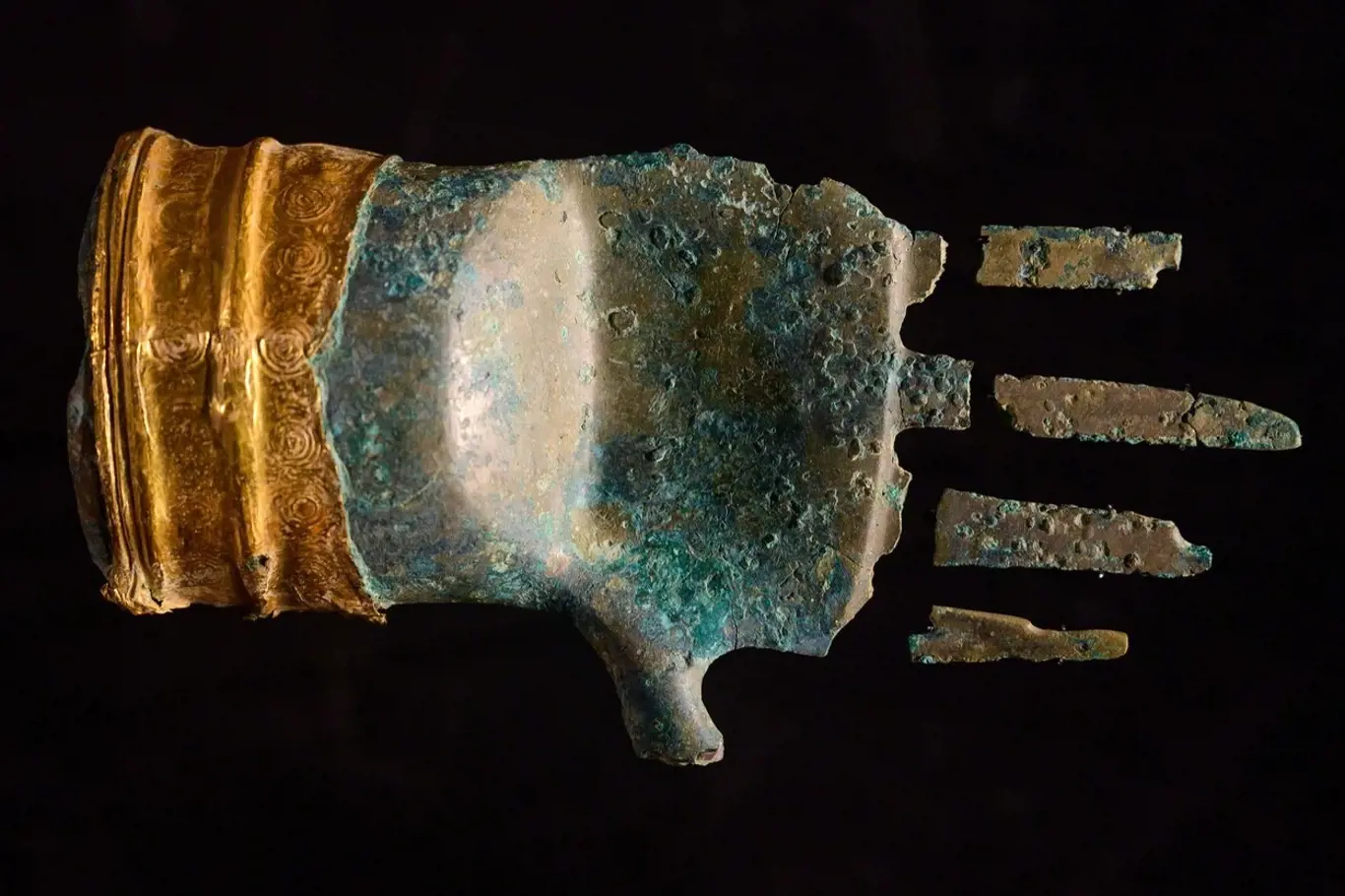 Stáří bronzové ruky je odhadováno na 3 500 let. Součástí velmi neobvyklého artefaktu je zlatá manžeta a ruka byla dříve zřejmě součástí žezla.