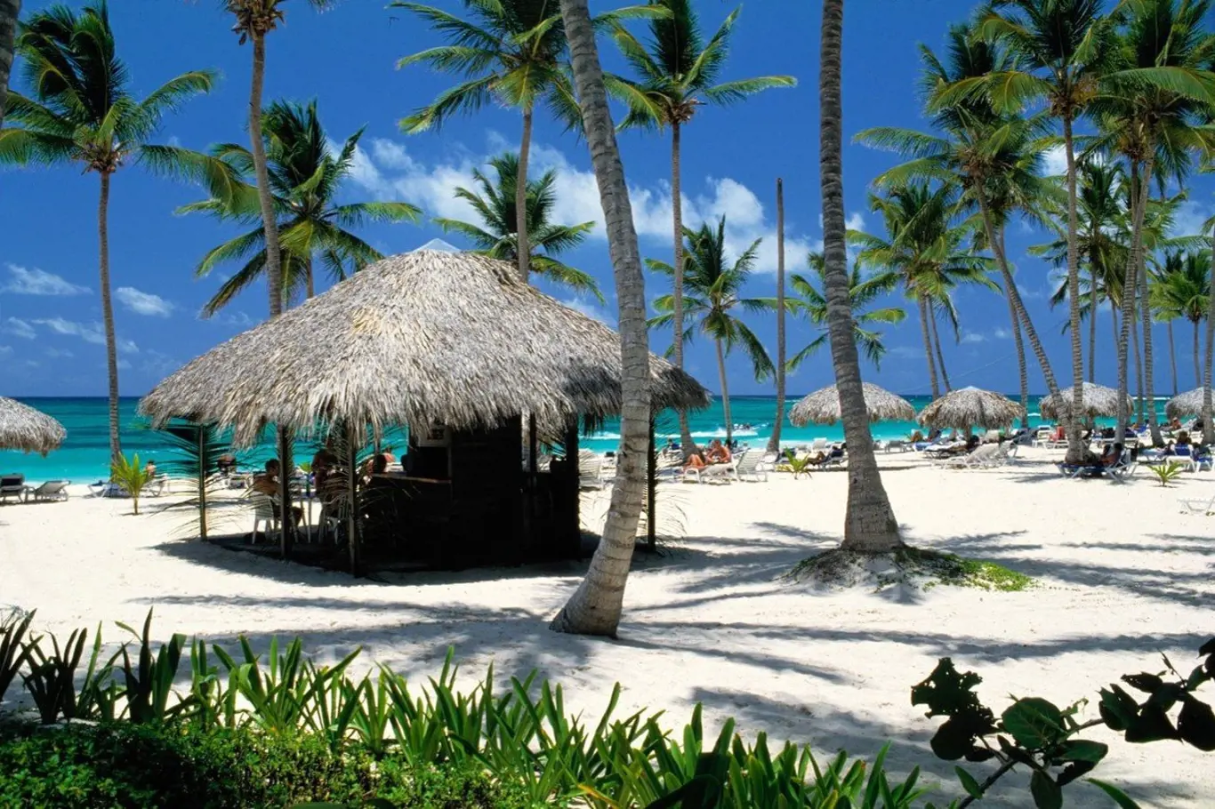 Nádherná pláž Puerto plata v Dominikánské republice. Tam bude radost dovolenkovat