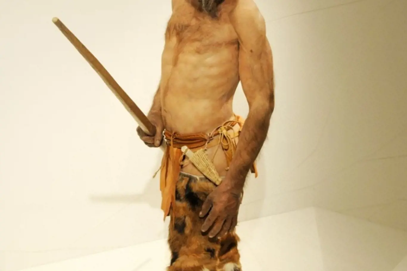 Rekonstrukce vzheldu Ötziho.
