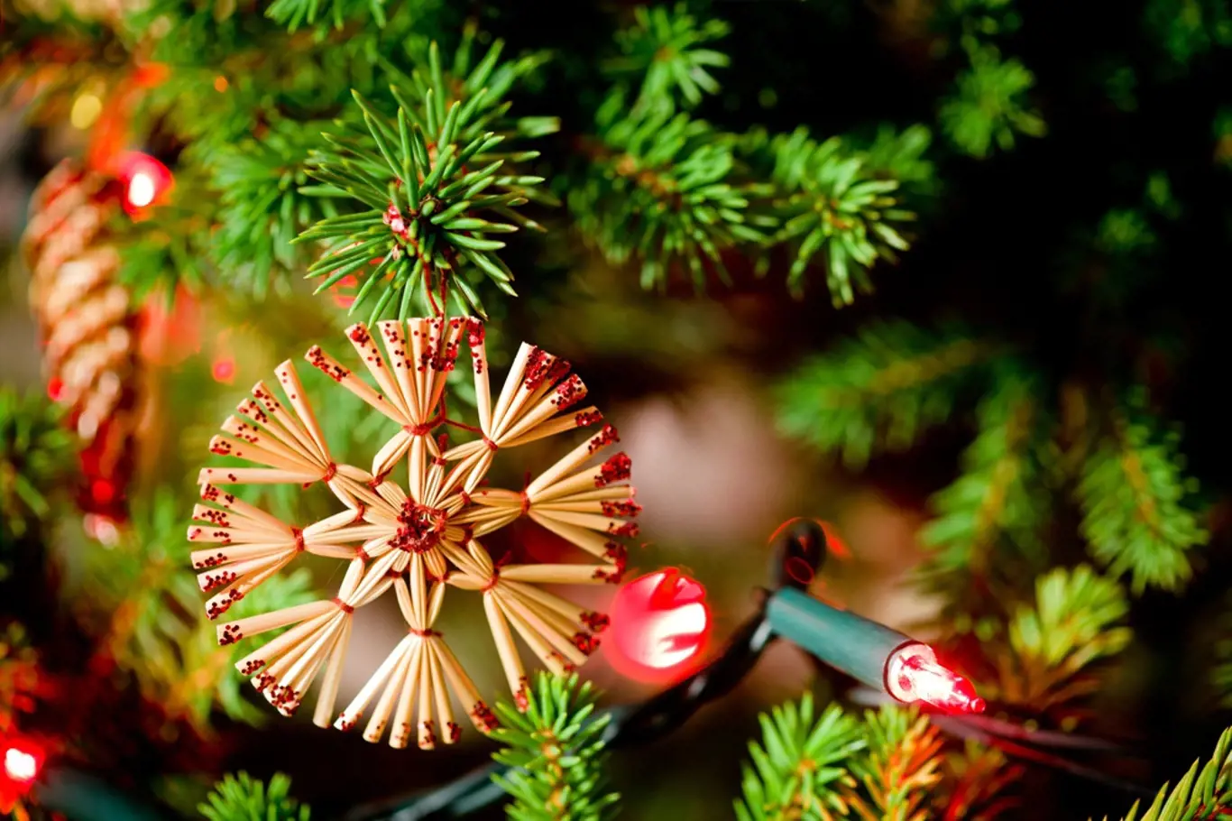 Vánoční ozdoba ze slámy má tvar hvězdy.