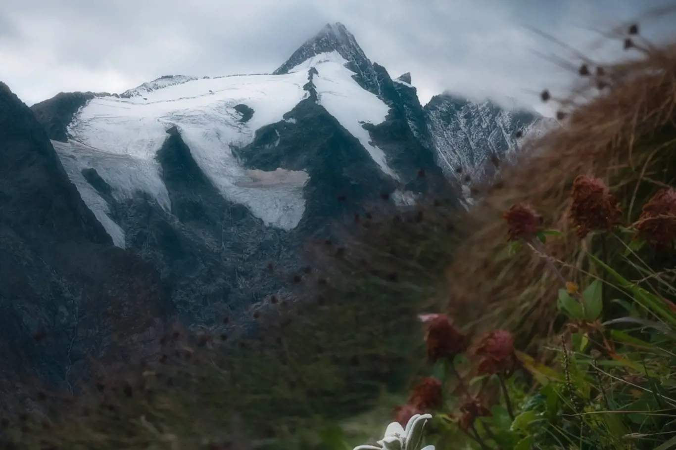 Dobrodružství - Vysoké Taury, svišti a Grossglockner High Alpine Road