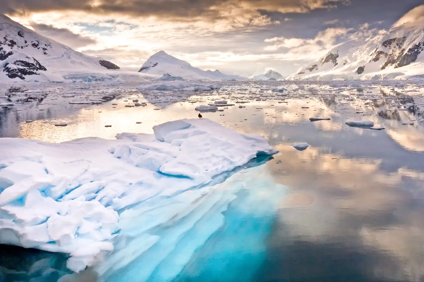 Co objevili vědci na Antarktidě?