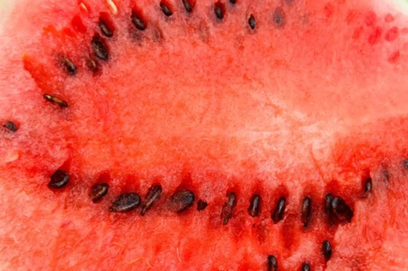 Nejzdravější část melounu jsou právě semínka!