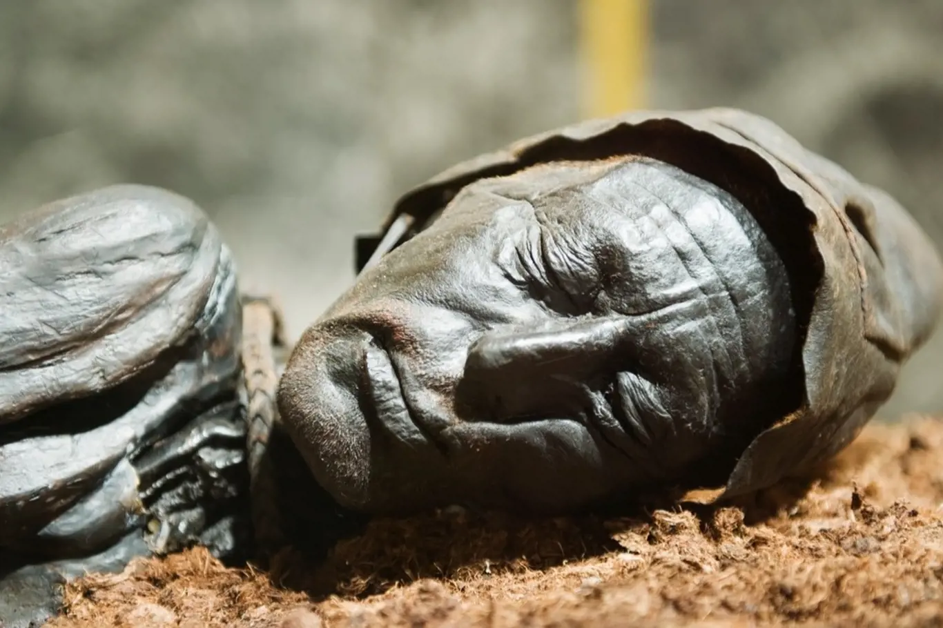 Záhada Tollundské mumie