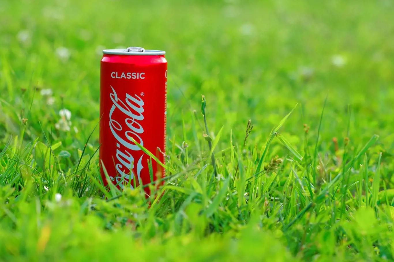 Zkoušeli jste někdy, co umí Coca Cola na zahradě?