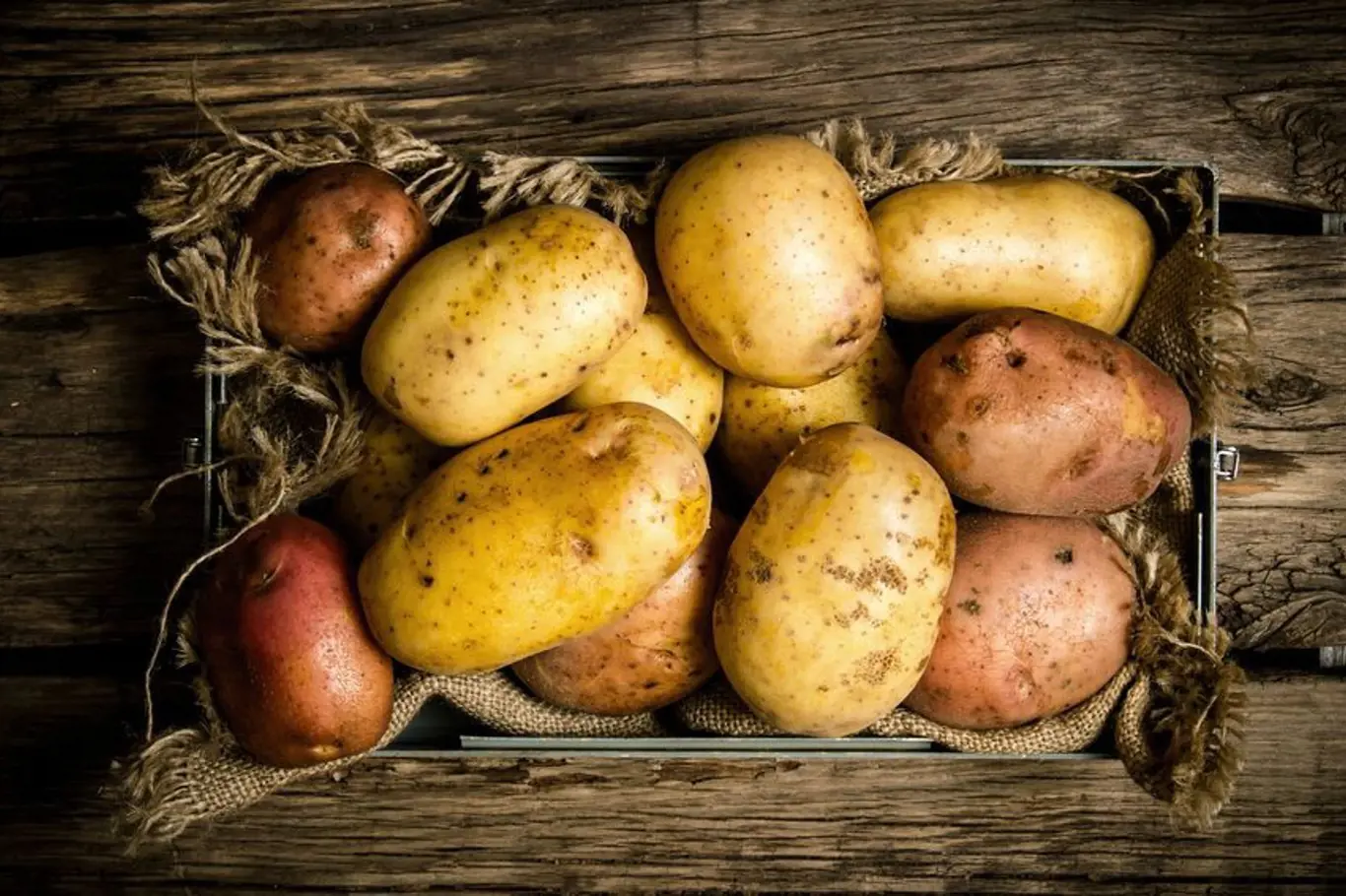 Na způsobu skladování závisí trvanlivost brambor