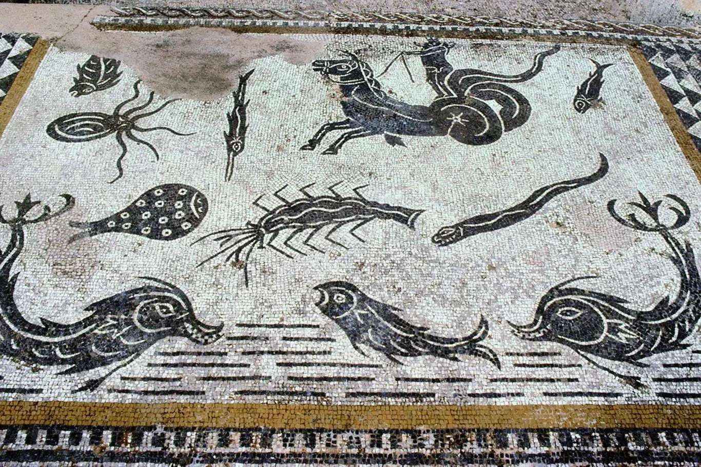 Mozaika z Caligulovy "lodi rozkoše“ skutečně patřila Caligulovi. Zobrazuje různé mořské tvory, včetně ryb, krabů a chobotnic, a složité geometrické a květinové vzory. Velmi kontroverzní římský císař vládl krátce a byl zavražděn.