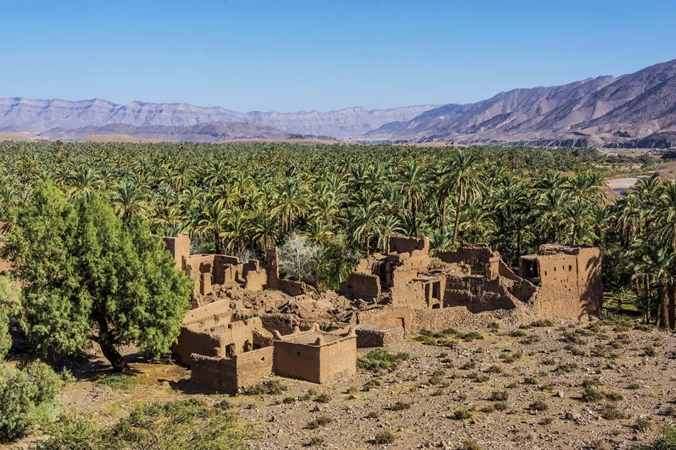 Zajímavosti - Zelené údolí Maroka