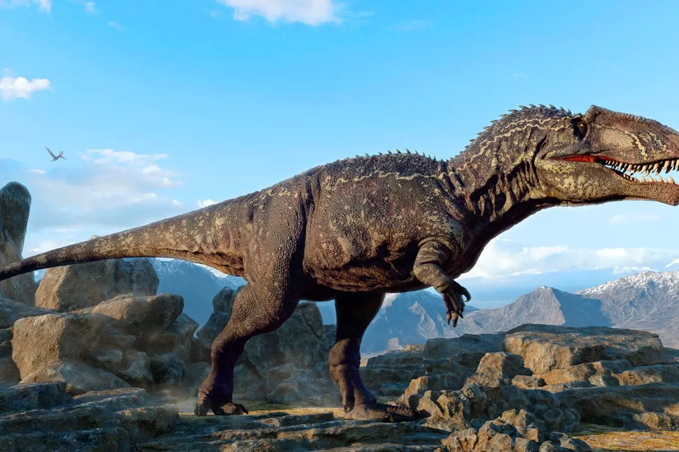 Podle vědců je giganotosaurus jedním z mála dinosaurů, který by zřejmě v souboji T-Rexe porazil, nebo by nebyl rozhodně lehkým soupeřem.