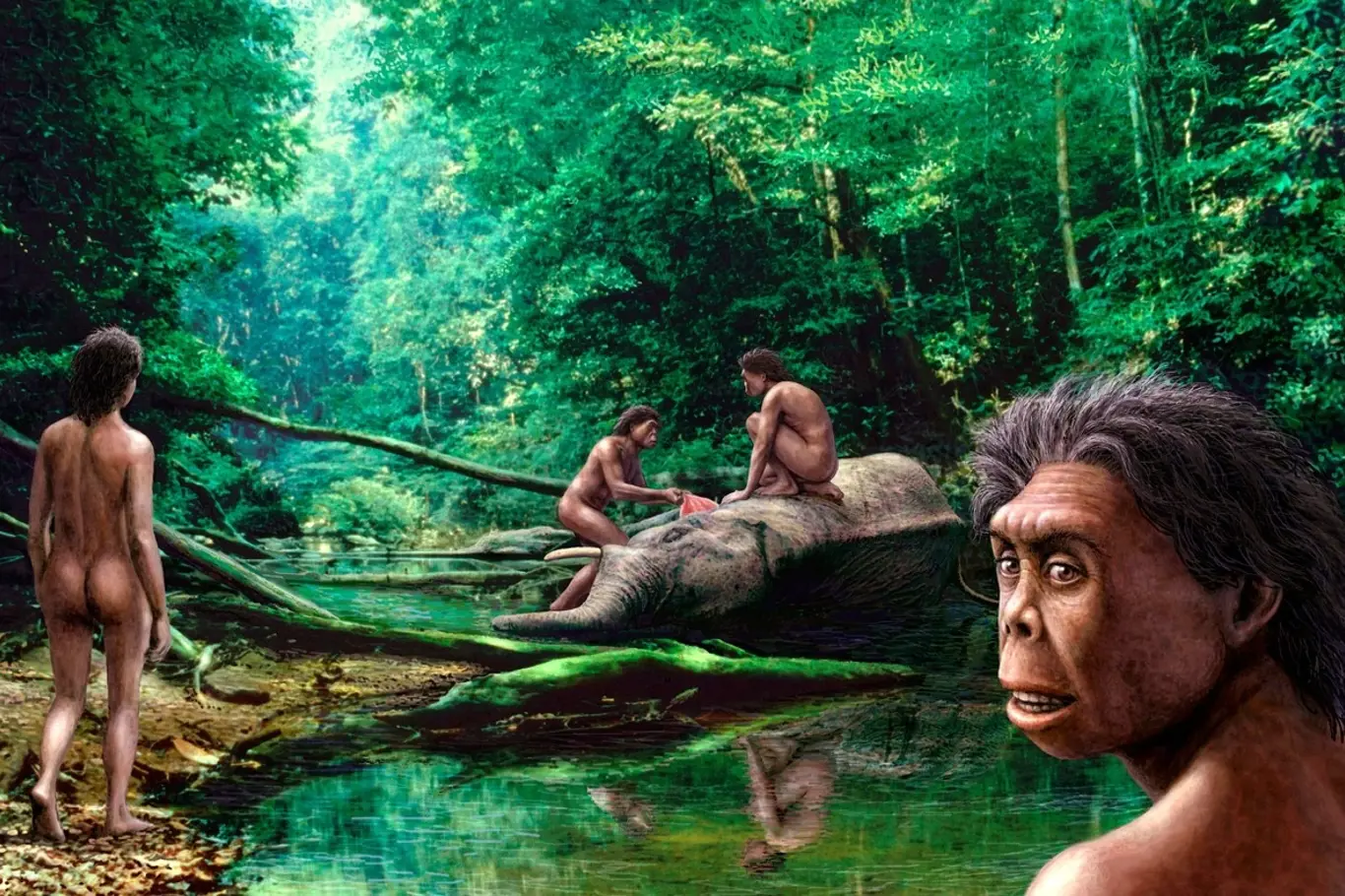 Život Homo floresiensis