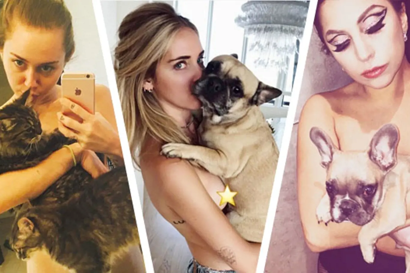 Nový trend Instagramu: Zvířata na nahém těle! Je to vkusné, nebo odporné?