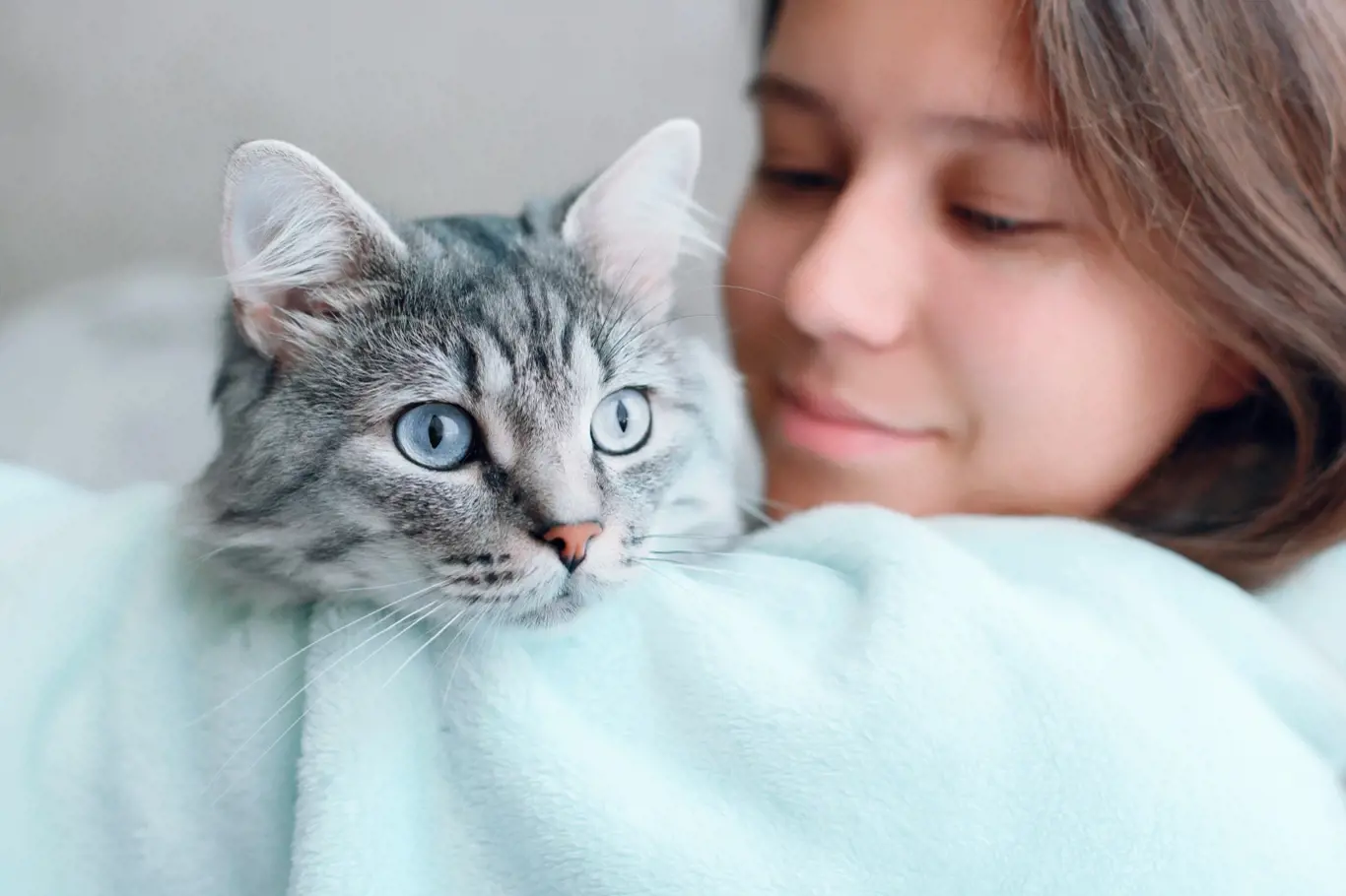 Víte, jaké nejčastější nemoci kočky mohou potkat?