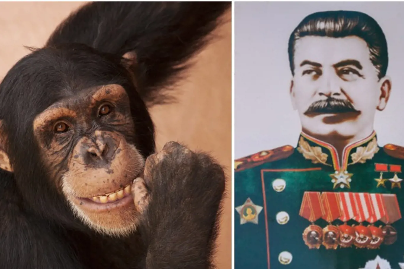 Stalin měl na experimentu křížení člověka s opicí zájem.