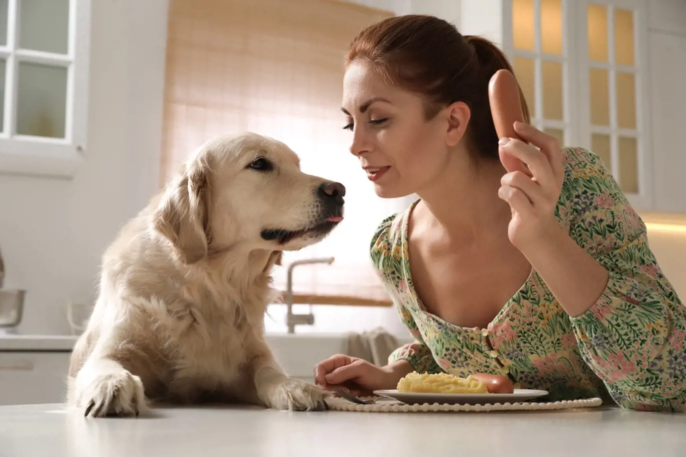 Když budete vašeho psa krmit od stolu, vyvolá to u něj pocit, že má v domácnosti stejné postavení jako člověk.