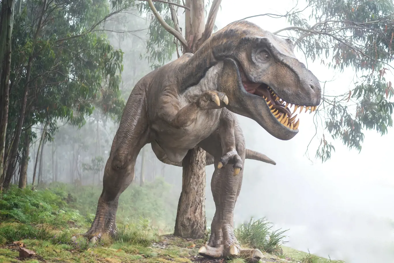 Jak zjistil nový výzkum, největší T-rex byl asi ještě o 70 % větší než Scotty
