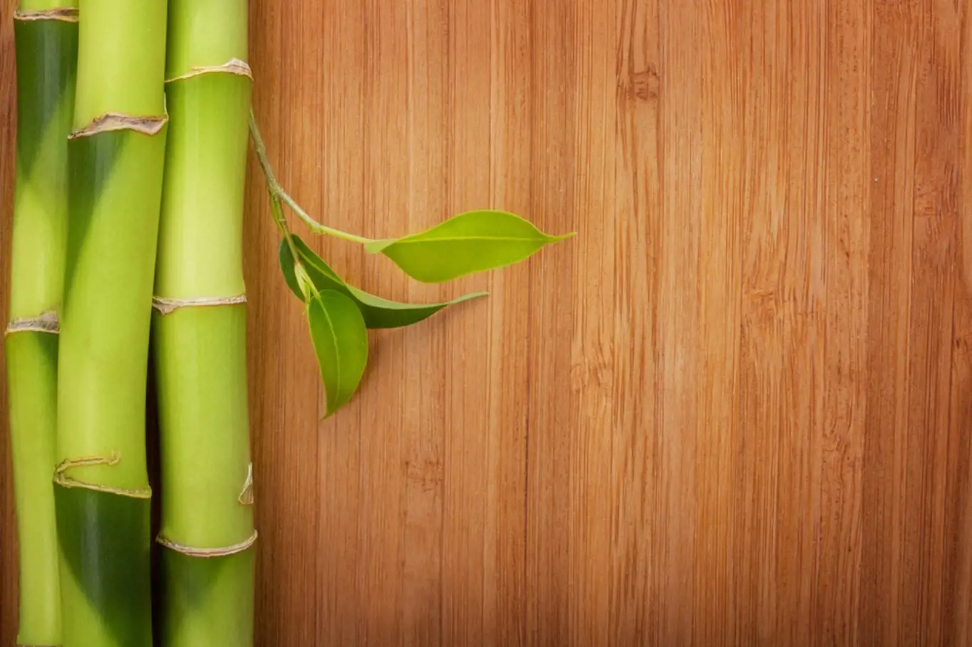 Z bambusu se vyrábí podlahové krytiny
