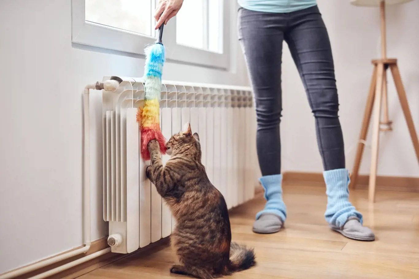Čistit byste měli radiátor před každou topnou sezonou.