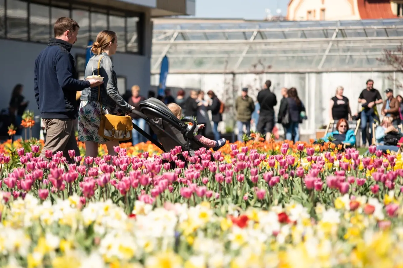 Zapište si do diáře, že jarní Flora Olomouc začíná 20. dubna.