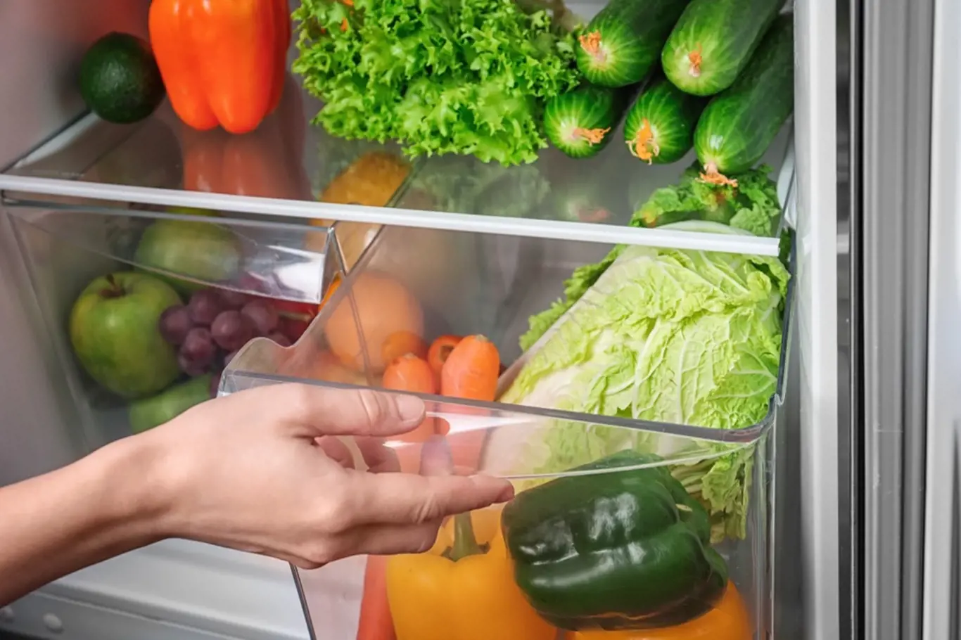 zelenina lednice