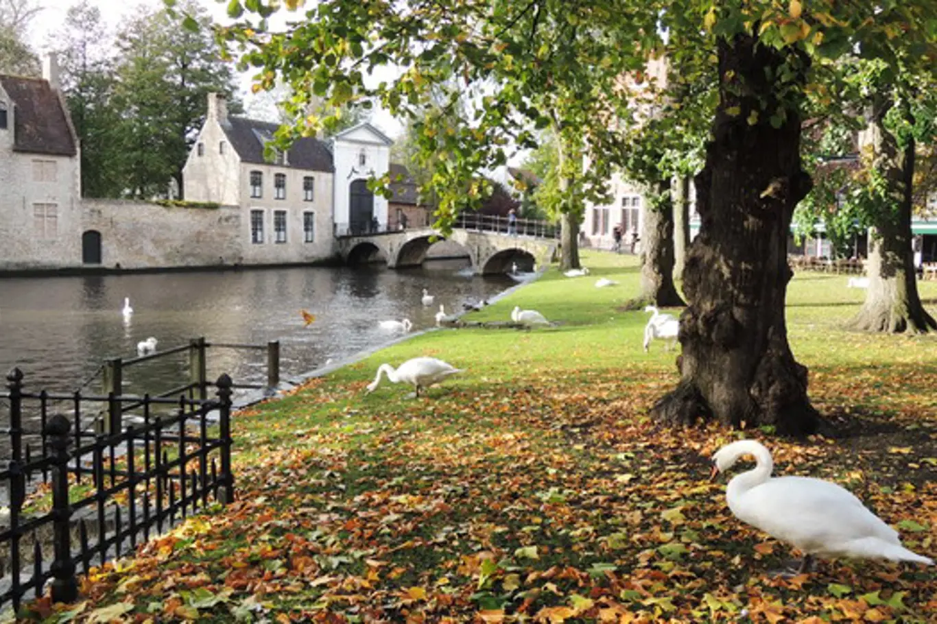 Belgie: Poznejte její krásy na podzim