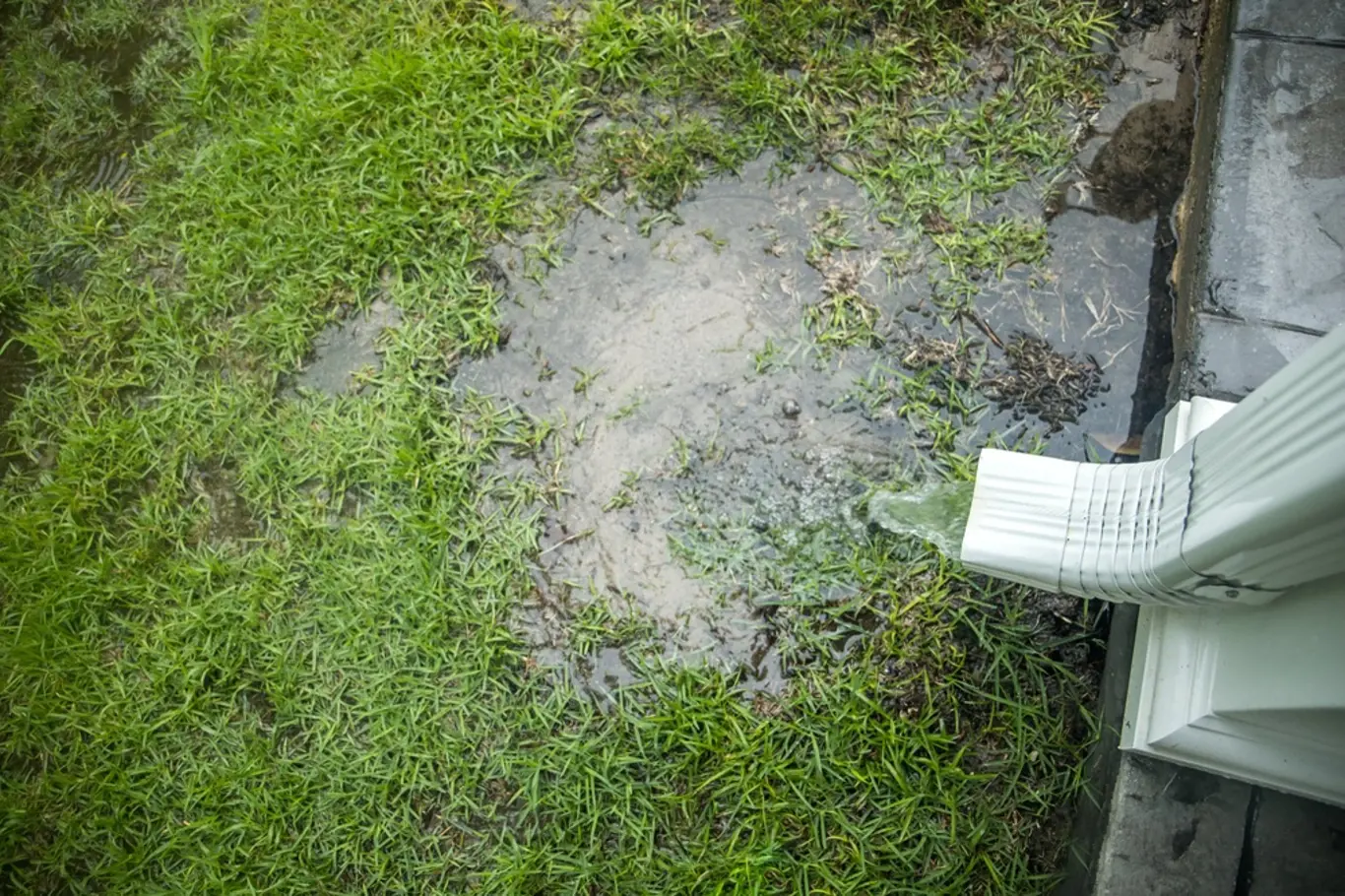 Jak vyřešit vsakování vody na své zahradě?