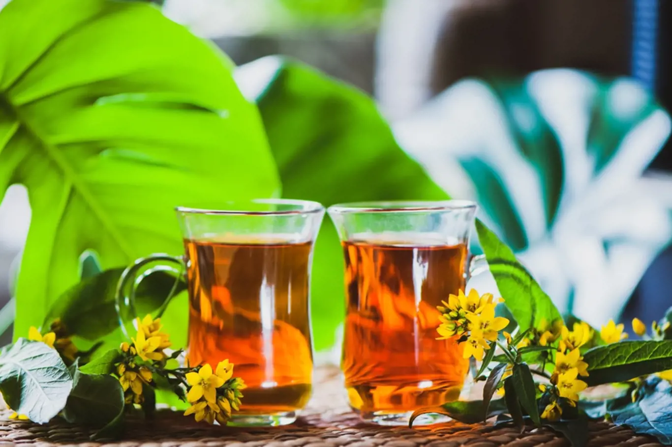 Třezalkový čaj pomáhá zklidnit naši mysl, může problémy se spaním zredukovat a časem i úplně srovnat.