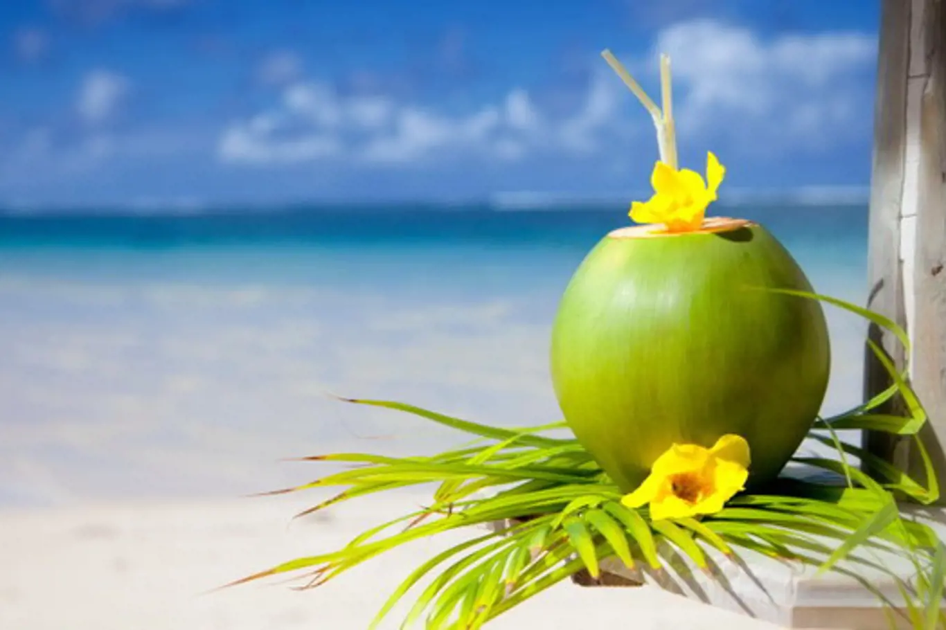 5 důvodů, proč pít kokosovou vodu