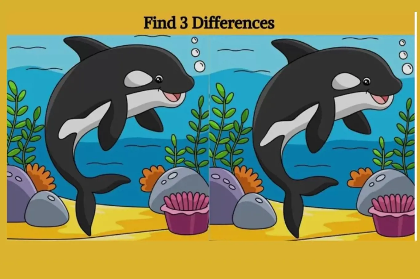 IQ výzva pro bystré: Najdi na obrázku delfínů 3 rozdíly