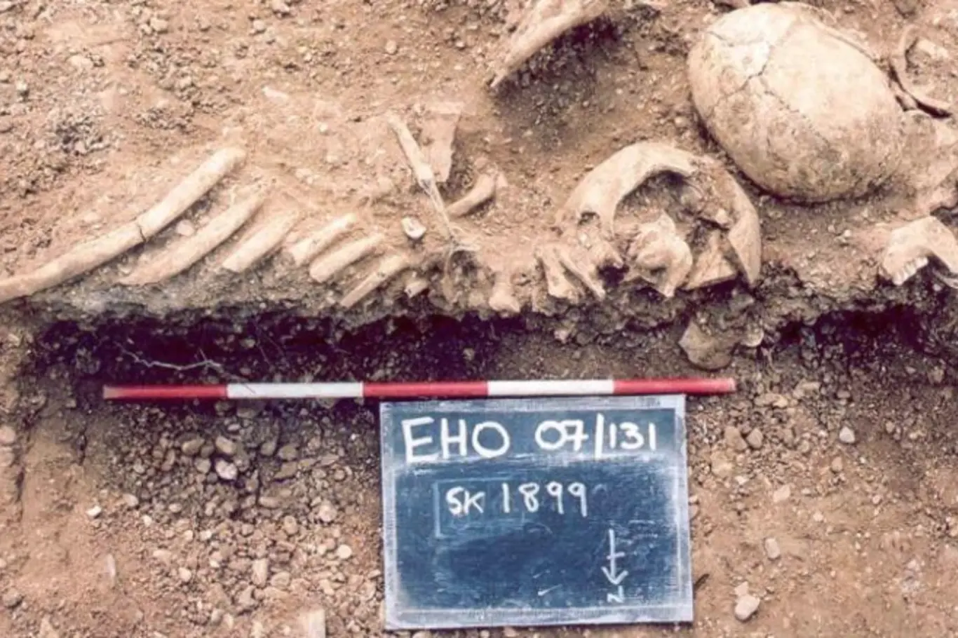 Vikinské naleziště. Součástí studie byly ostatky Vikingů z 10. století nalezené v hromadném hrobě.
