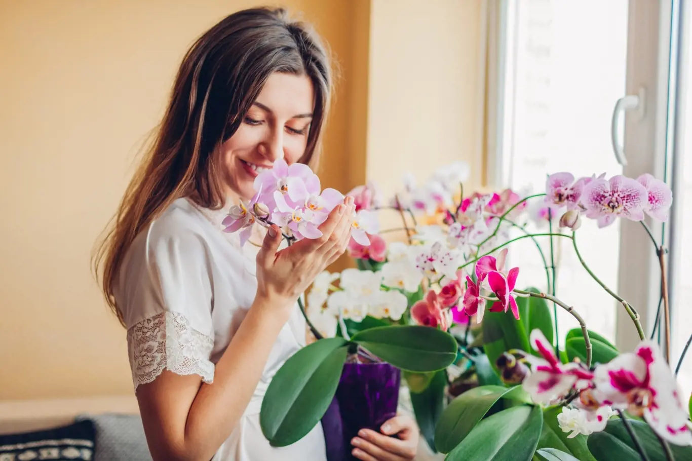 Orchideje jsou naprosto unikátní rostliny a nádherná exotická bytová dekorace.