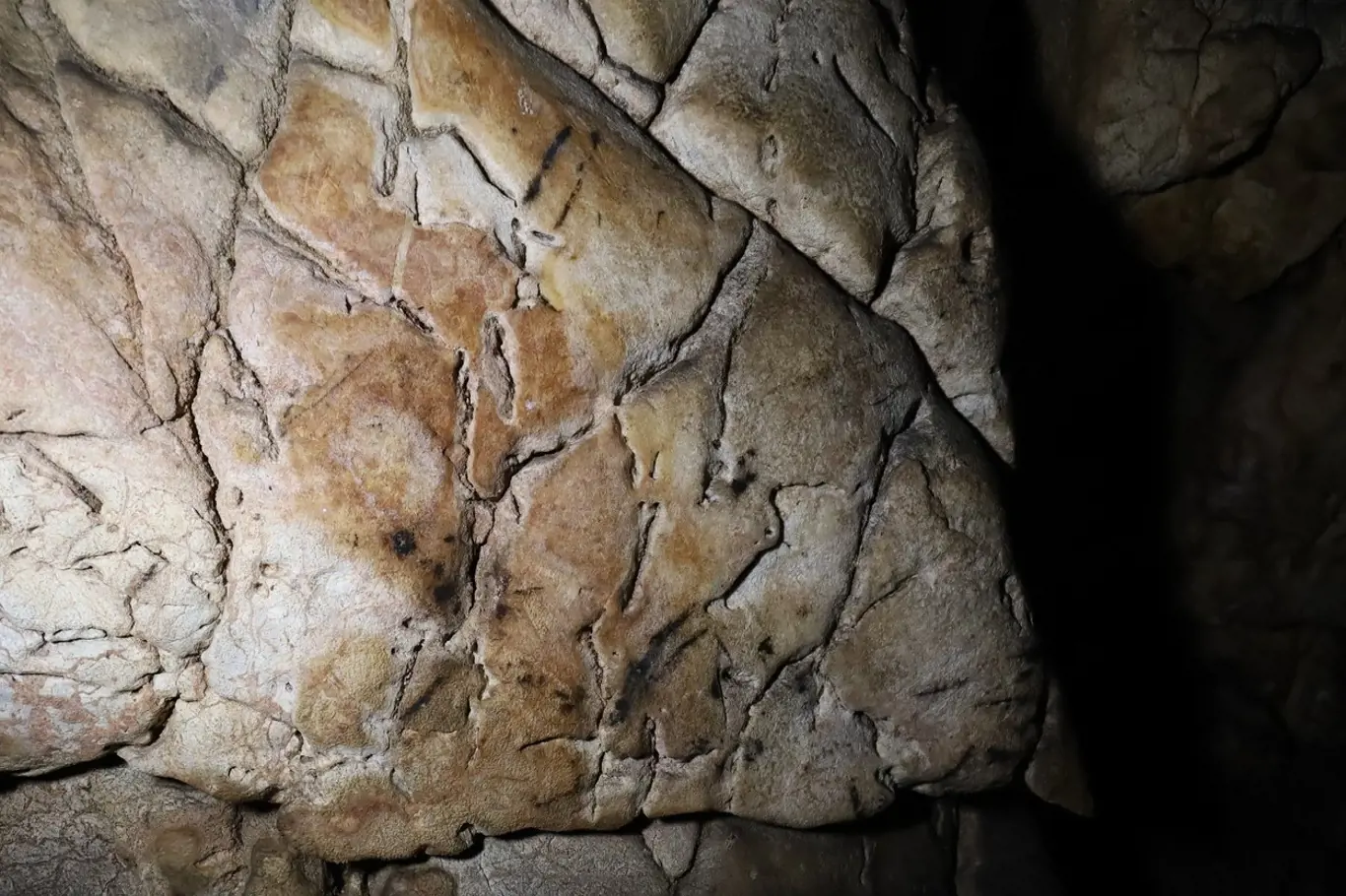 Mozek - nejstarší kresba v ČR se skrývá v Kateřinské jeskyni