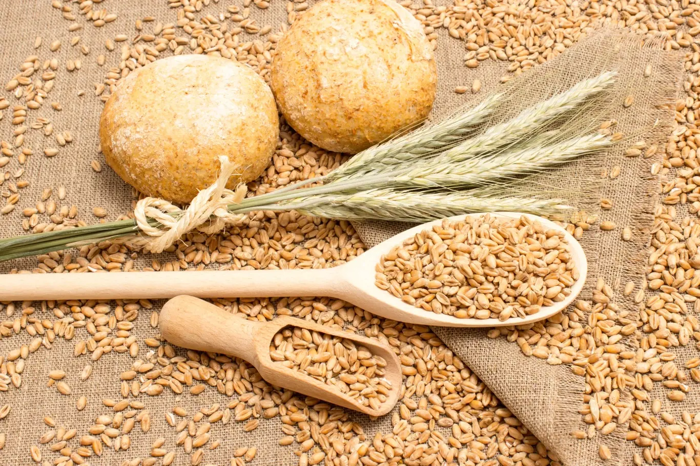 Bezlepková strava: pšenice ano či ne