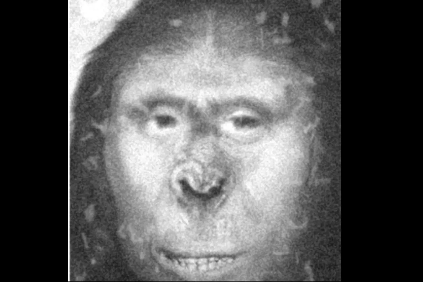Zana - opičí žena nebo yetti?