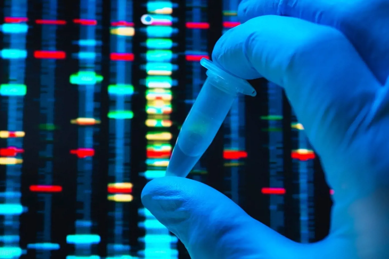 DNA ukazuje, kde jsme se narodili.