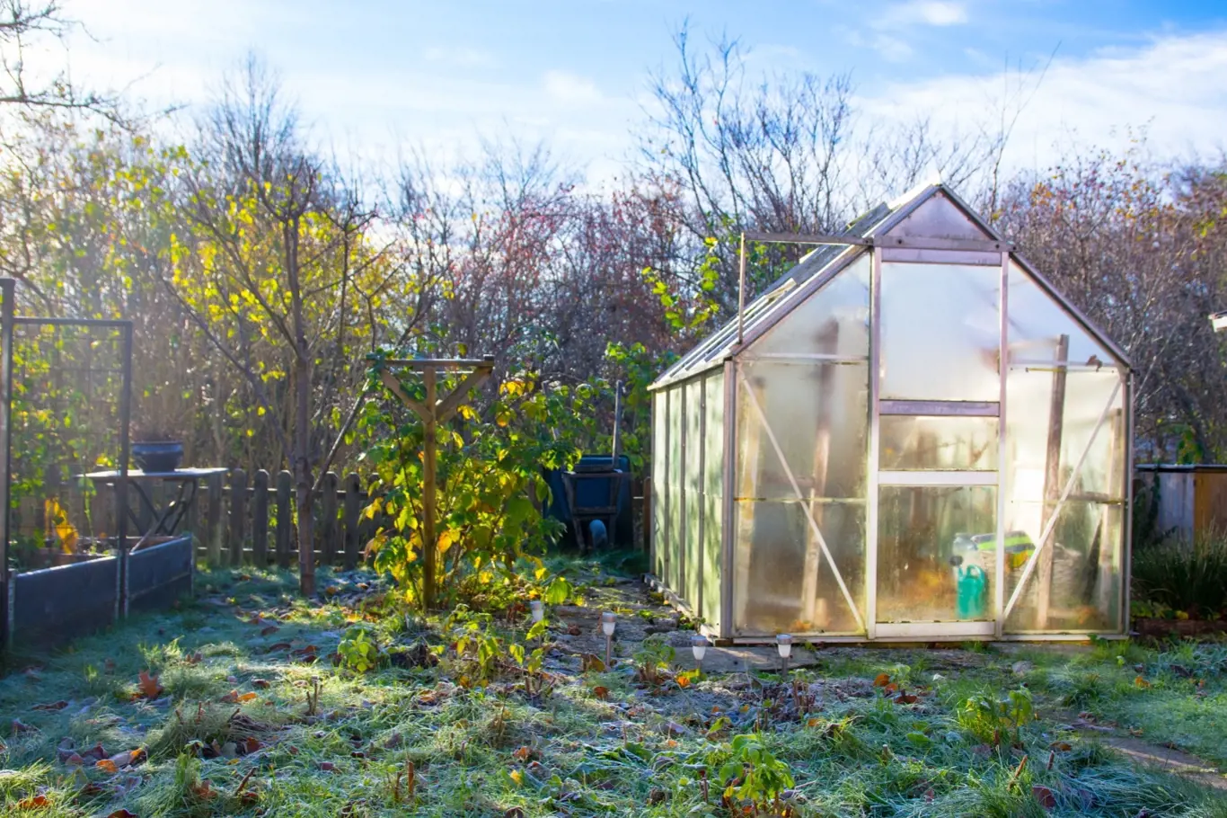 Víte, jak využít skleník či pařeniště i v zimě?