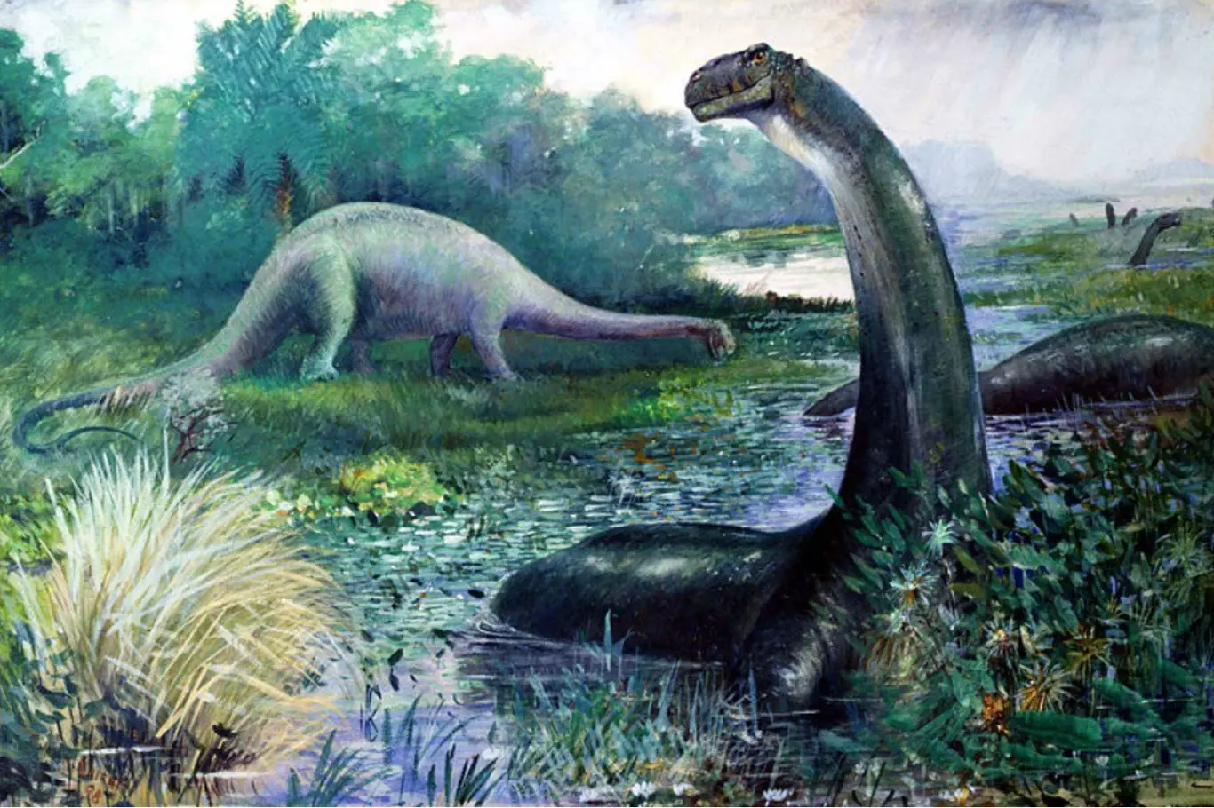 Podivný sauropod by mohl obývat okolí řeky Kongo