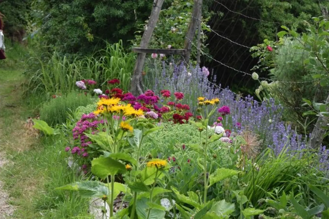 Zahrada v Ouběnicích patří mezi ukázkové permakulturní projekty.