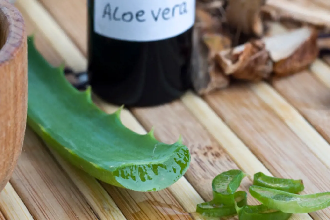 Rostlina, která léčí – Aloe Vera