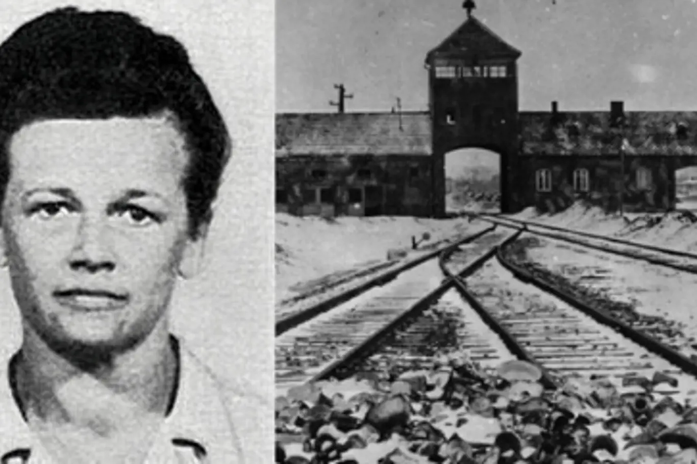 Therese Brandl působila jako dozorkyně v koncentračním táboře Osvětim.