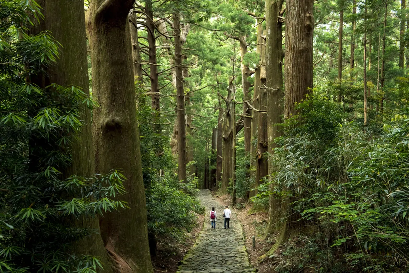 Na starodávné poutní cestě Kumano Kodo naleznete klid i duchovní obnovu.