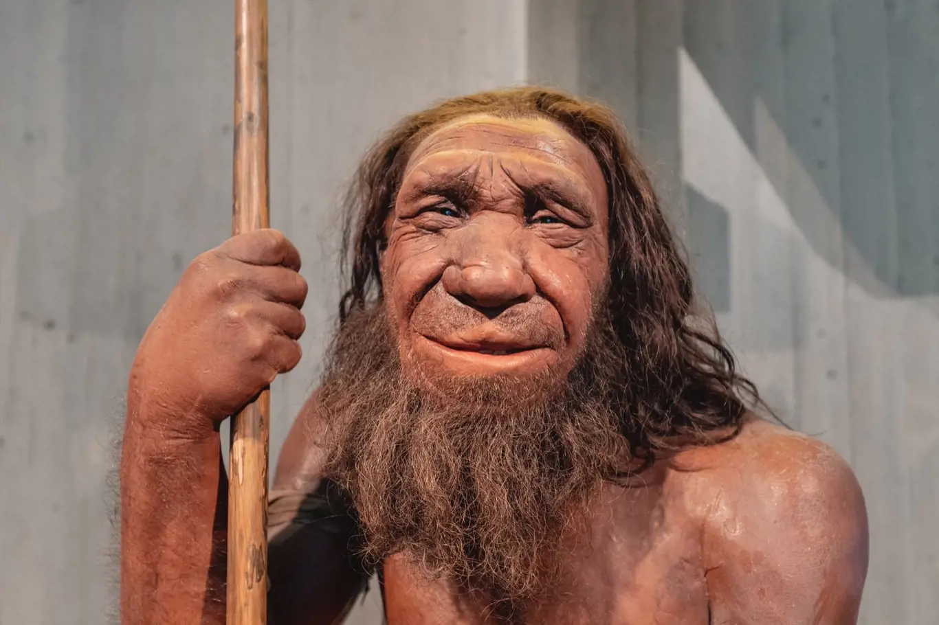 Muzeum neandrtálců, Německo: Detailní vosková figurína neandrtálského člověka s oštěpem v muzeu. Člověk Sapiens antropologie věda a teorie evoluce